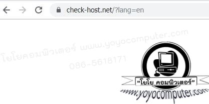 ใส่ชื่อเว็บในช่องค้นหา