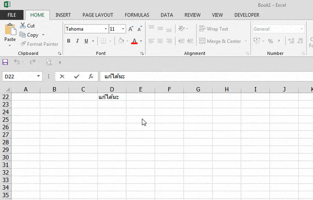 อาการปกติ ดับเบิลคลิกเซลล์แล้วมีเคอร์เซอร์กระพริบ แก้ไขข้อมูลได้